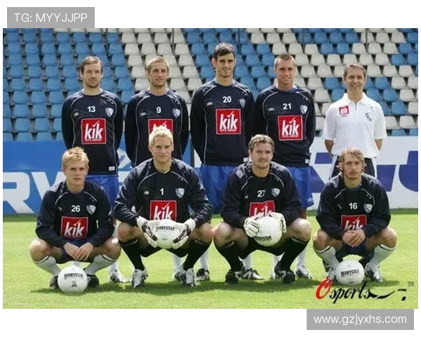 德甲波鸿球队详细介绍及其近年来发展动态 德甲波鸿球队详细介绍及其近年来发展动态
