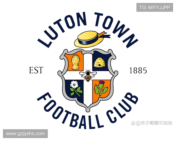 英超球队logo含义：探索英超球队logo背后的象征意义与设计理念