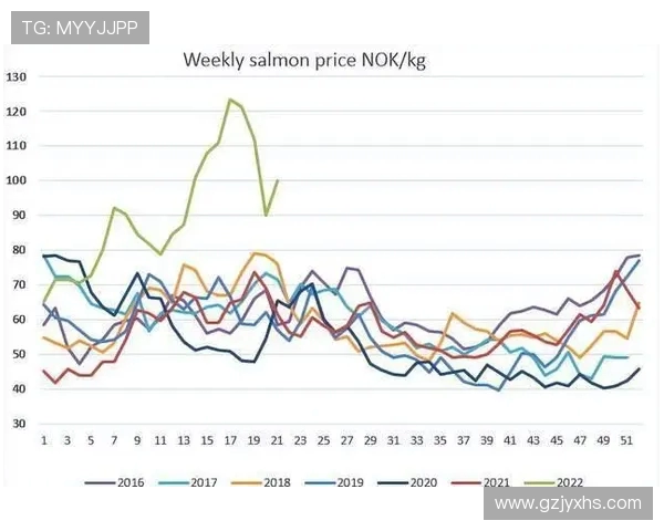 英超球队收入来源与财务状况分析 英超球队收入来源与财务状况分析